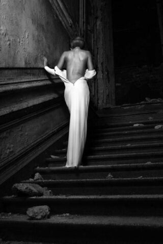 escorts cologne with our prestige escort blog